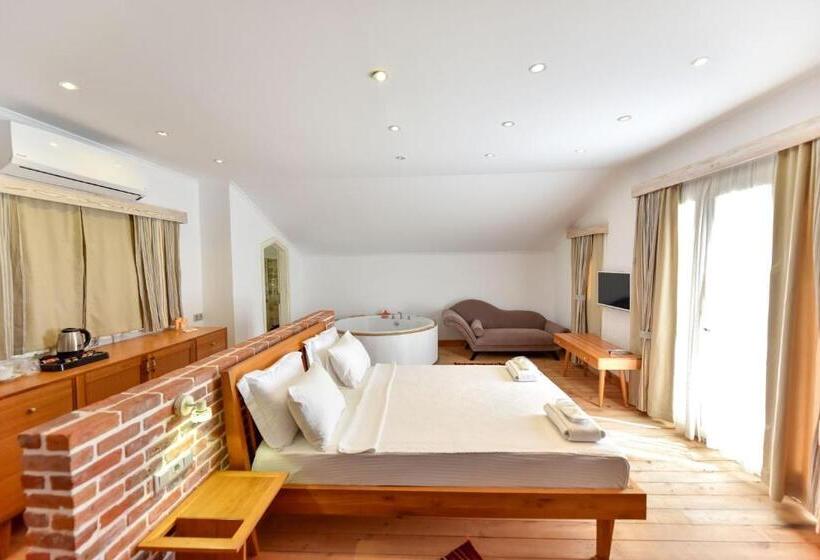 בית מלון כפרי Orino Suites