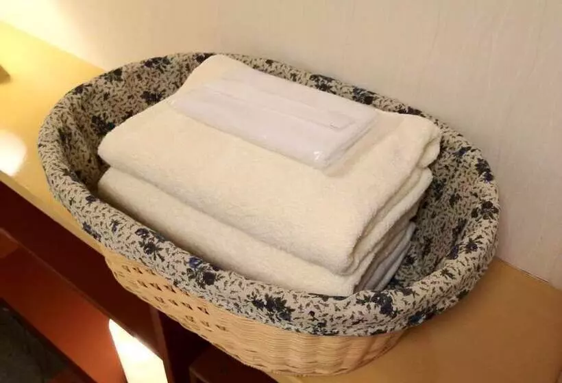 Отель Shirakawa Business