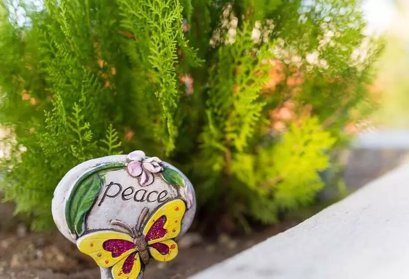 پانسیون O Casarao Guesthouse