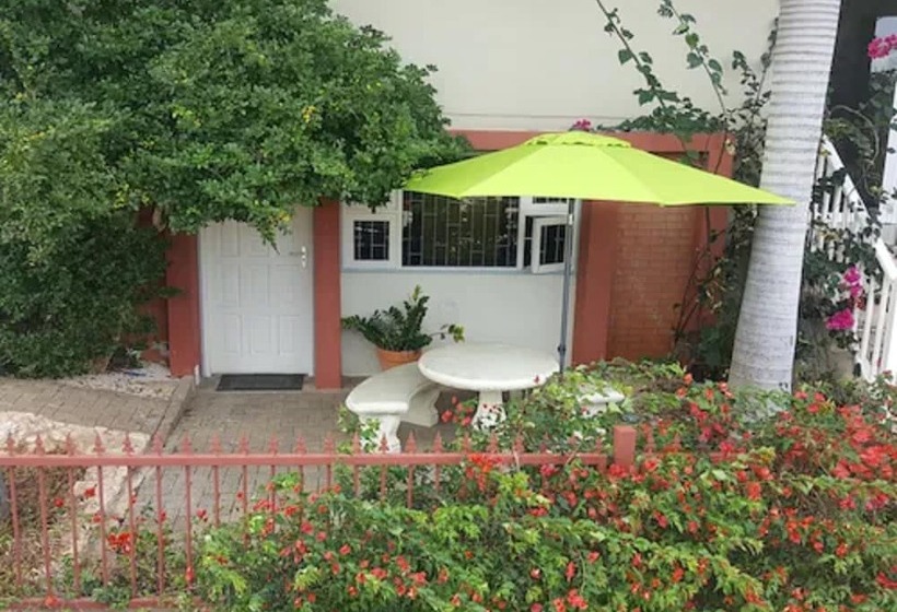 پانسیون O Casarao Guesthouse