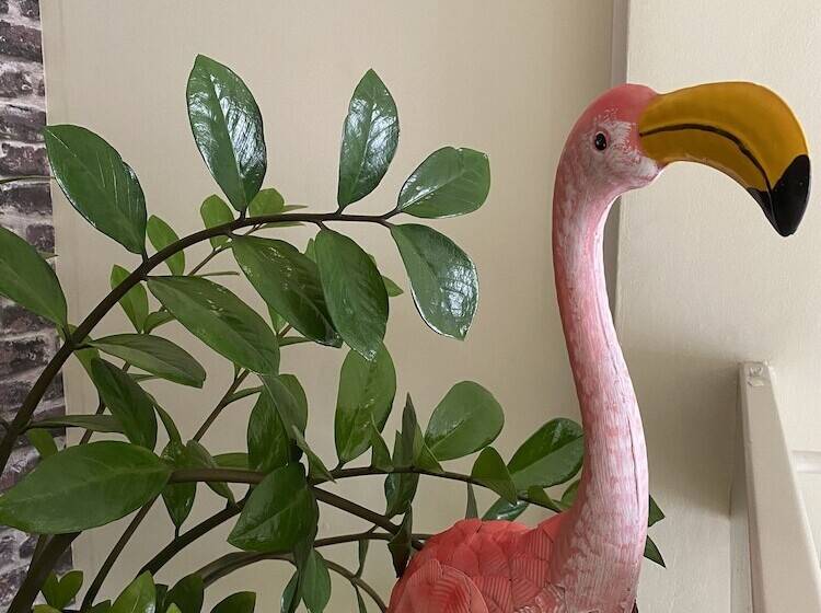 پانسیون O Casarao Guesthouse