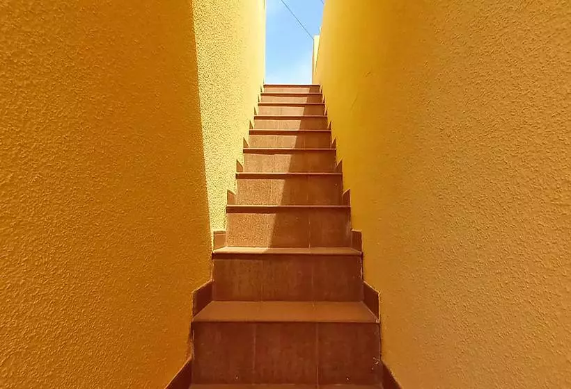 Apartamentos Los Palmitos 3000
