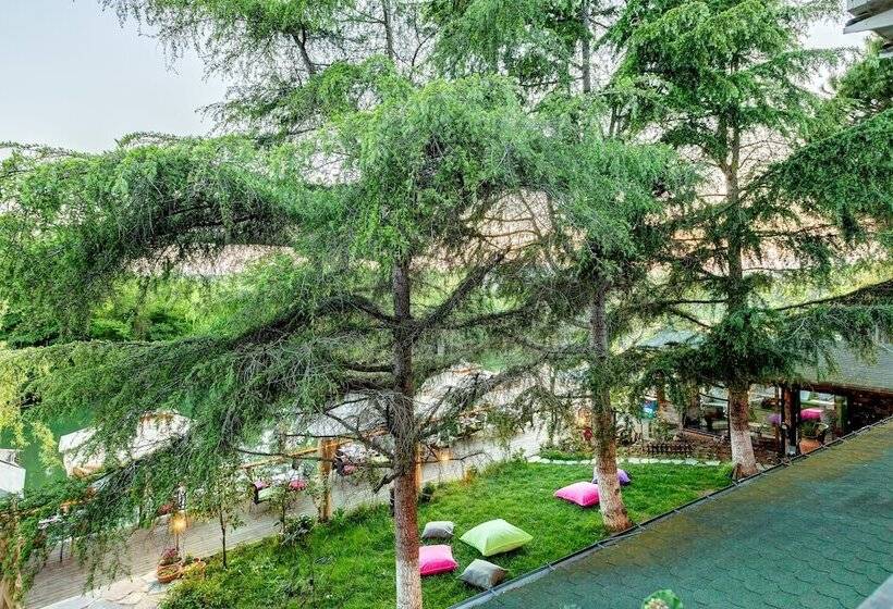 Ağva Park Mandalin Hotel   Adult Only
