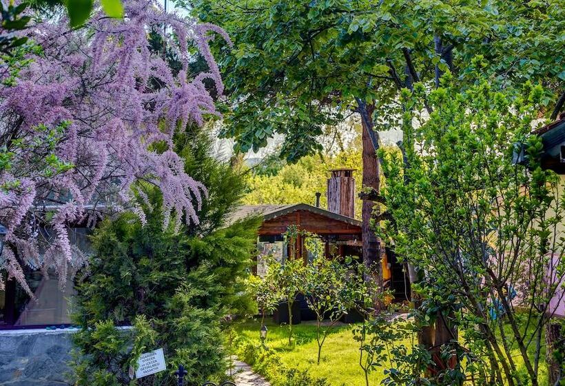 Ağva Park Mandalin Hotel   Adult Only