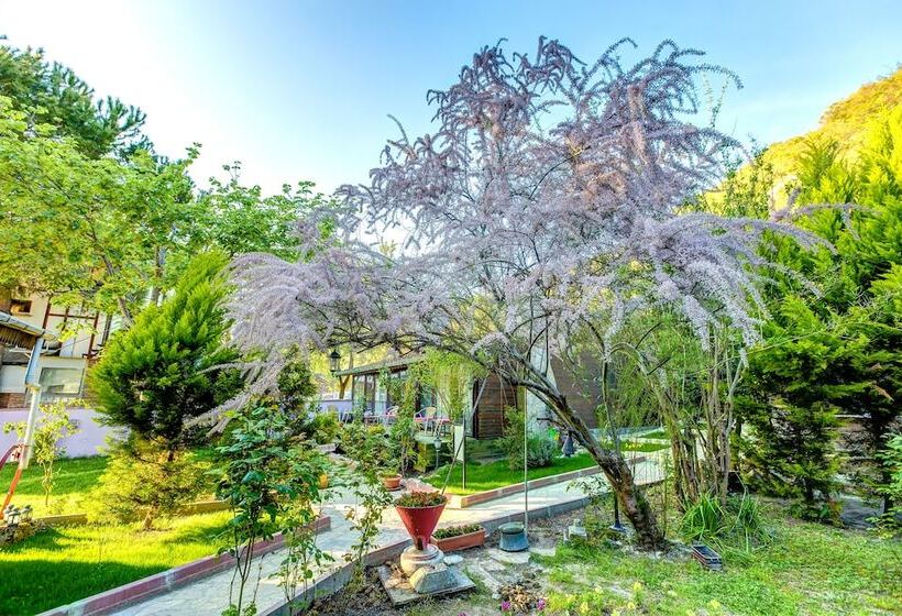 Ağva Park Mandalin Hotel   Adult Only