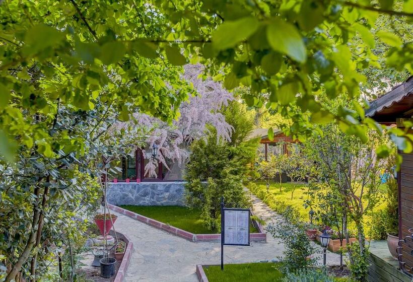 Ağva Park Mandalin Hotel   Adult Only