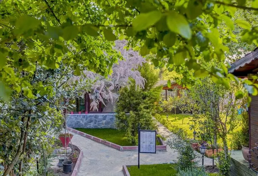 Ağva Park Mandalin Hotel Adult Only