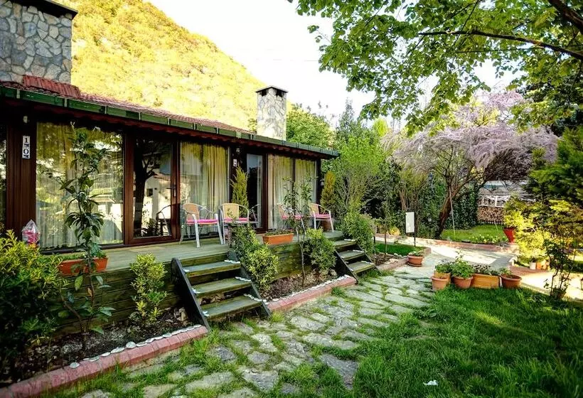 Ağva Park Mandalin Hotel Adult Only