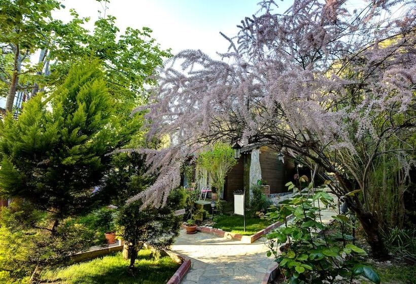 Ağva Park Mandalin Hotel   Adult Only