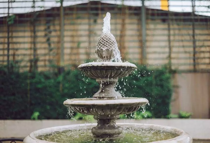 בית מלון כפרי Club Tree