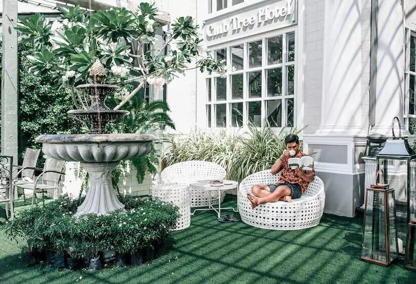 בית מלון כפרי Club Tree