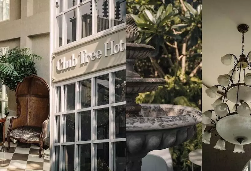 בית מלון כפרי Club Tree