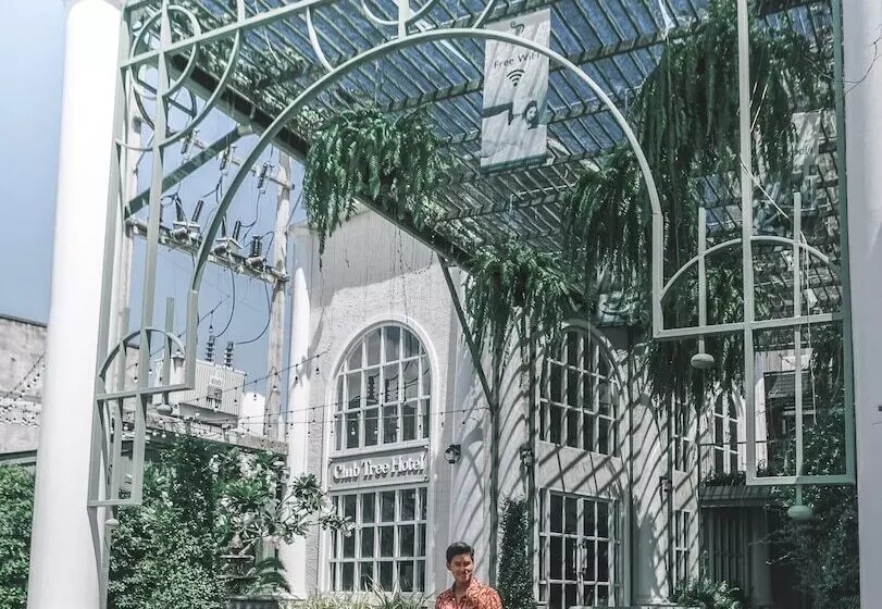 בית מלון כפרי Club Tree