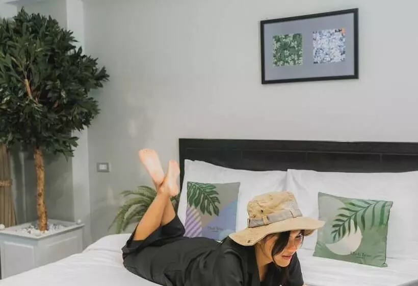 בית מלון כפרי Club Tree