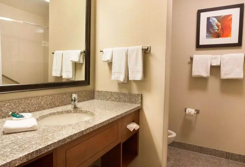 Drury Plaza Hotel Phoenix Tempe