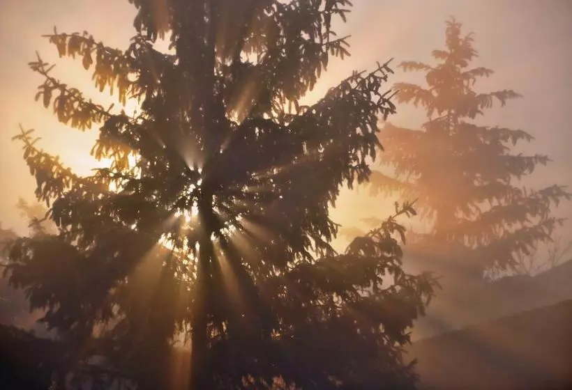 Отель Maumee Bay Lodge And Conference Center