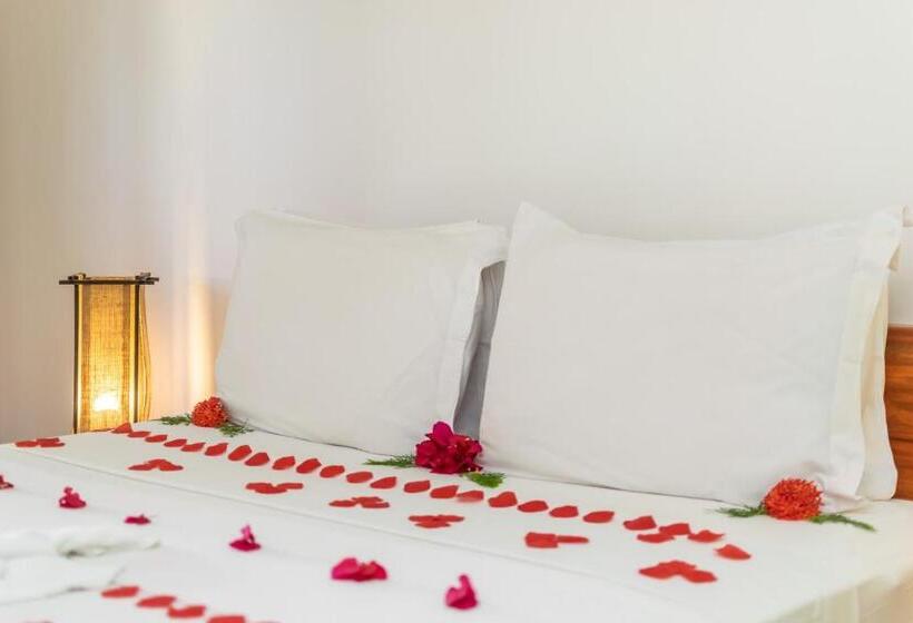 Отель Pousada Carcara