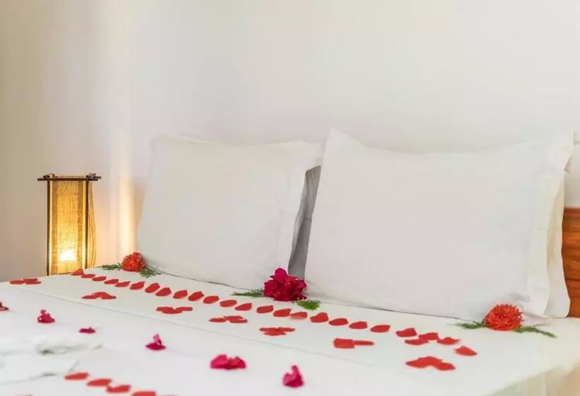 ホテル Pousada Carcara