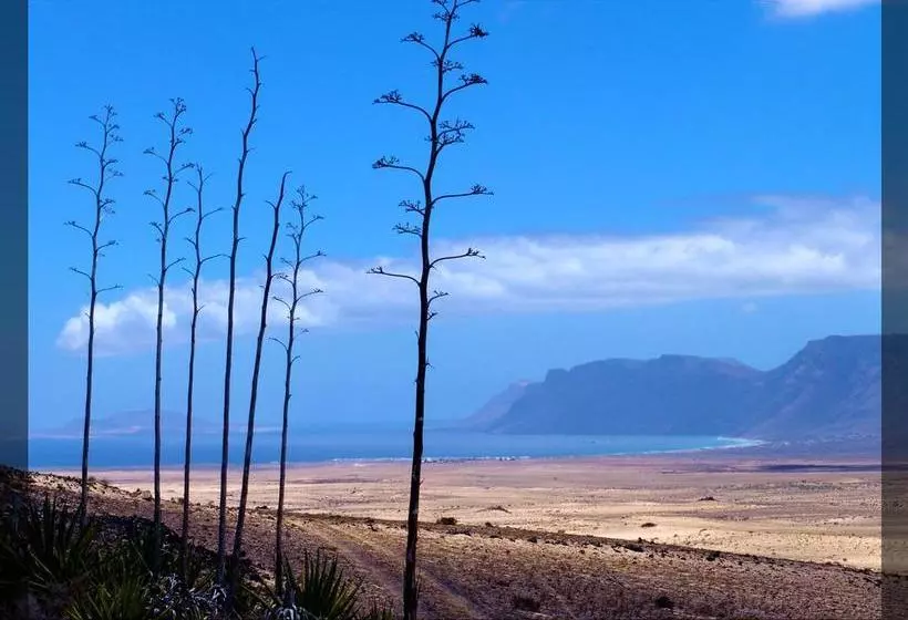 Kalindi Yoga Nature B&b