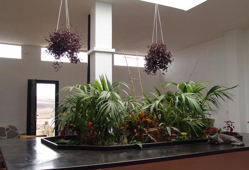 Kalindi Yoga Nature B&b