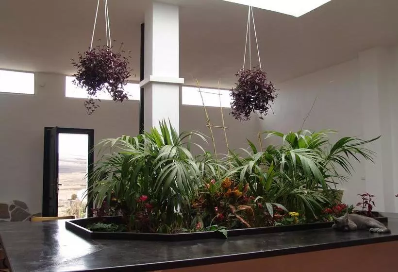 Kalindi Yoga Nature B&b