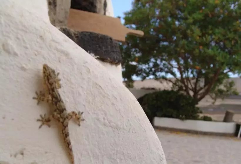 Kalindi Yoga Nature B&b