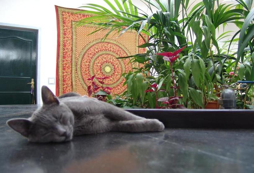 Kalindi Yoga Nature B&b