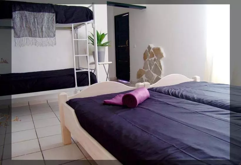 Kalindi Yoga Nature B&b