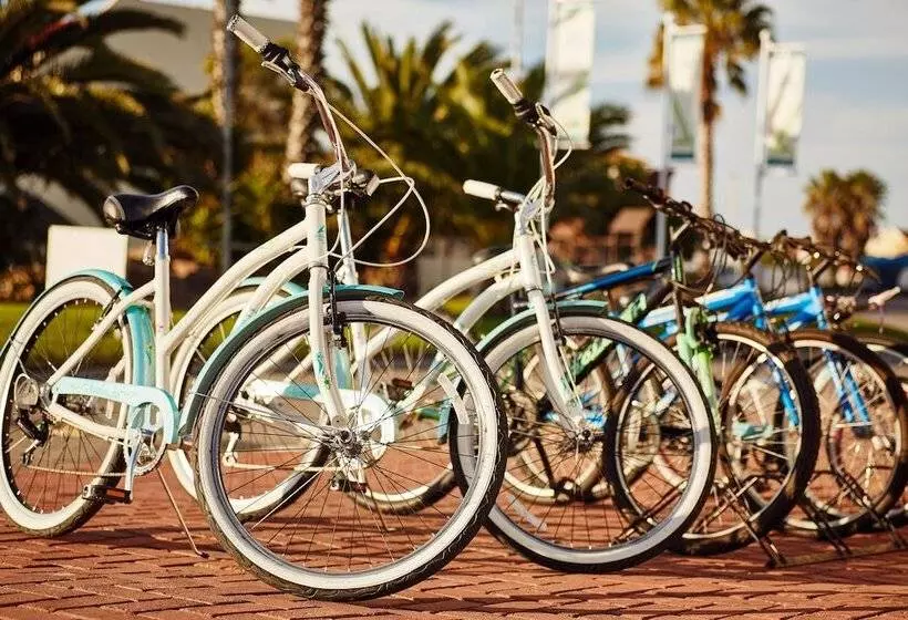 First Group Port Owen Marina