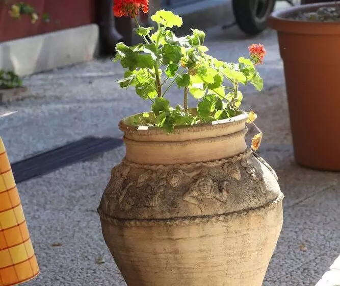 בית מלון כפרי Villa Astoria