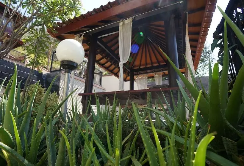 Отель Villa Mataano