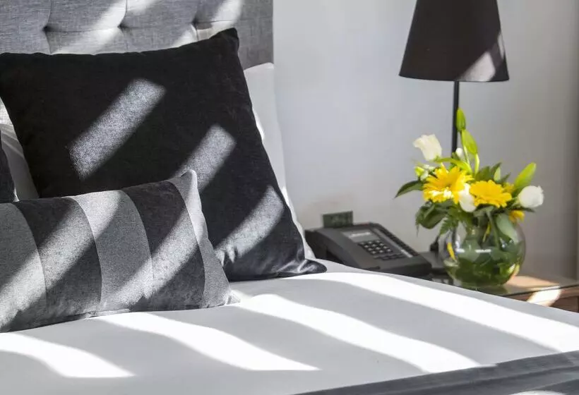 Oaks Mackay Carlyle Suites