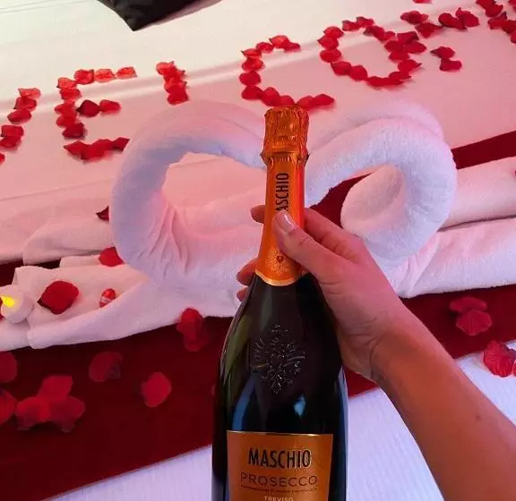 膳宿费 Chroma Exy Chroma Italy