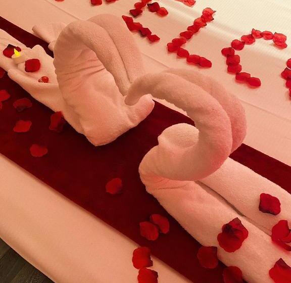 膳宿费 Chroma Exy Chroma Italy