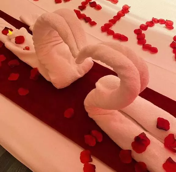 膳宿费 Chroma Exy Chroma Italy