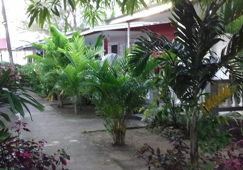 پانسیون Roots Bamboo Beach Resort