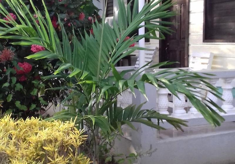 پانسیون Roots Bamboo Beach Resort