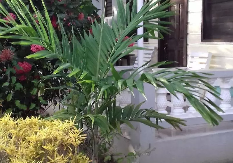 پانسیون Roots Bamboo Beach Resort