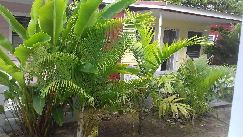 پانسیون Roots Bamboo Beach Resort