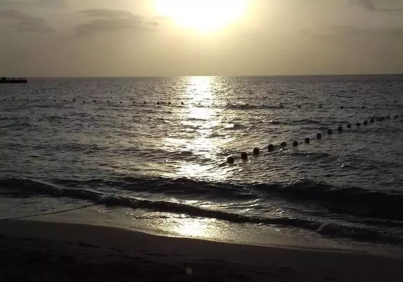 پانسیون Roots Bamboo Beach Resort