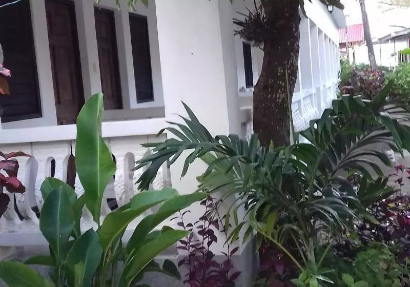 پانسیون Roots Bamboo Beach Resort