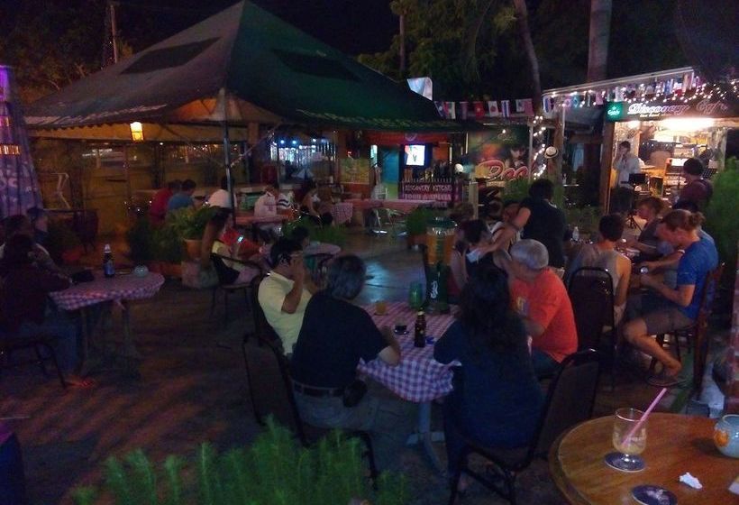 Alberg Discovery Cafe And Guesthouse