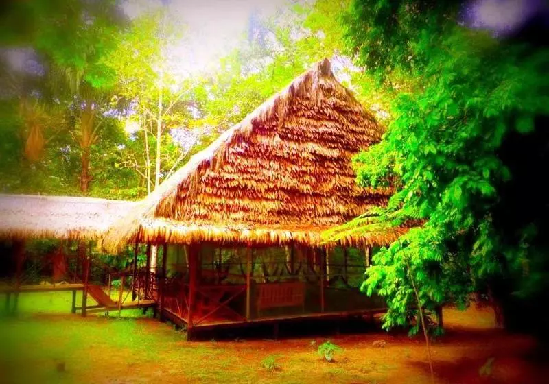 هتل Amazon Eco Tours & Lodge