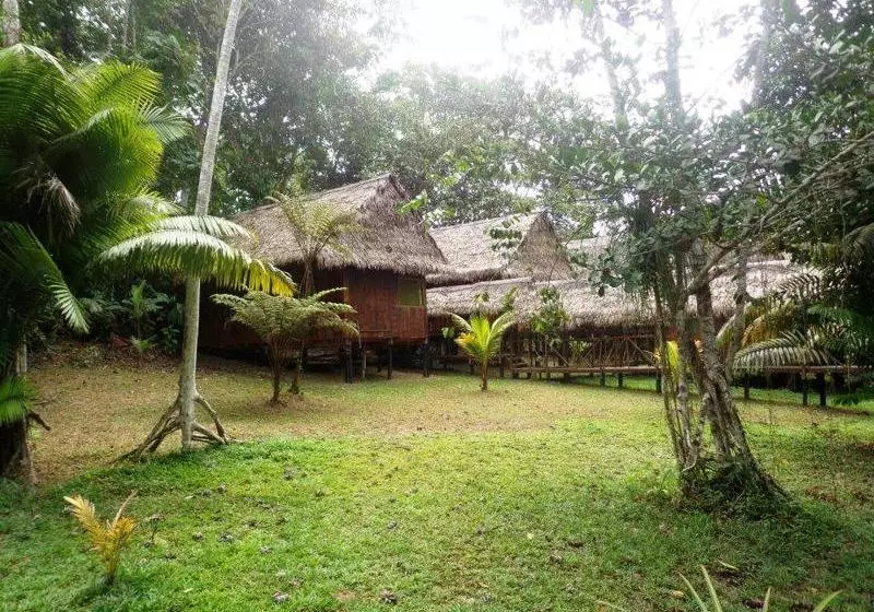 هتل Amazon Eco Tours & Lodge