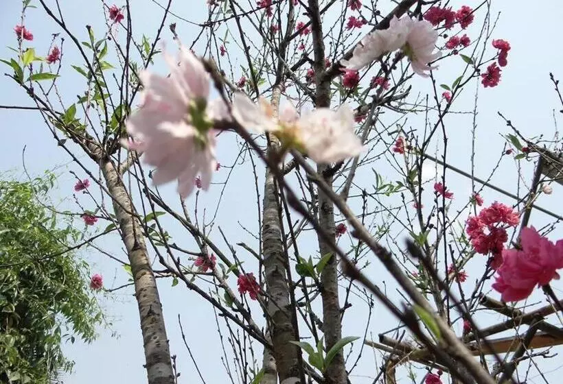 هتل Baghmara Wildlife Resort