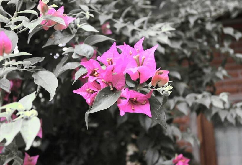 酒店 Baleku Senggigi