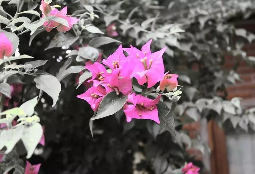 Отель Baleku Senggigi