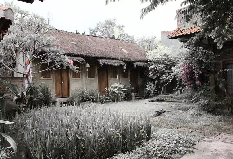 Отель Baleku Senggigi