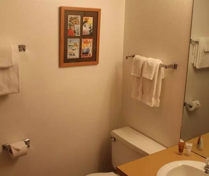 Hotel Fallridge At Vail