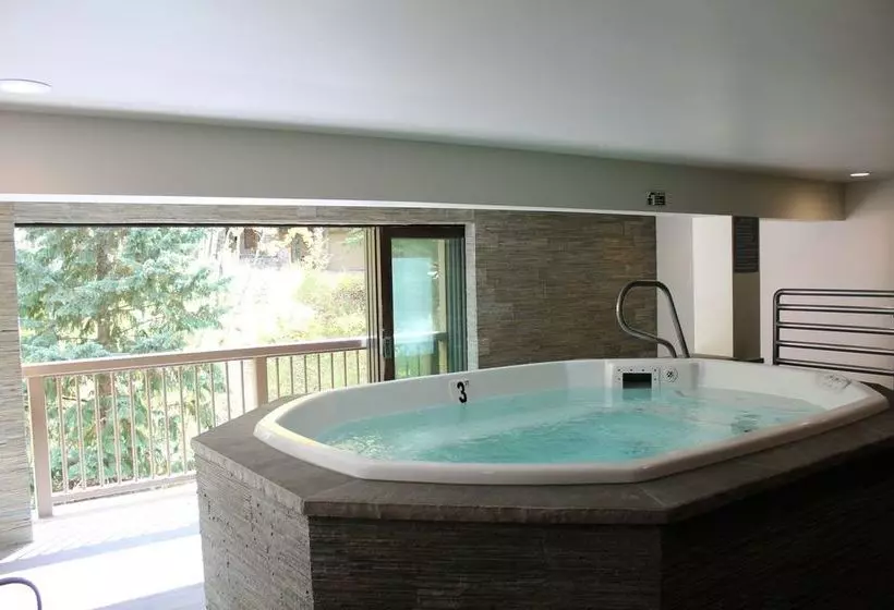 Hotel Fallridge At Vail